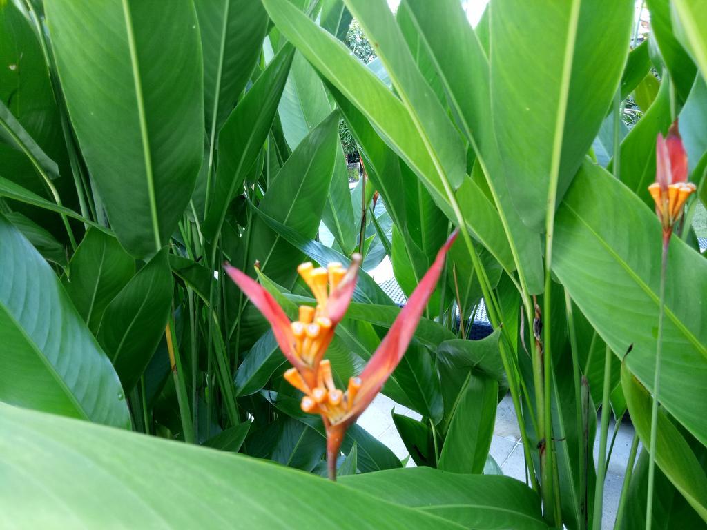 Villa Esa Ubud Exteriör bild